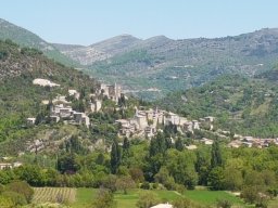 buis_les_baronnies9